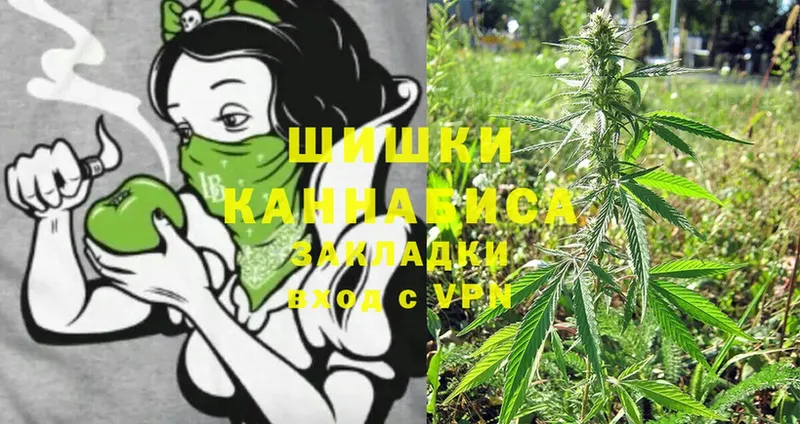 Шишки марихуана Ganja  где купить   MEGA ТОР  Новоульяновск 